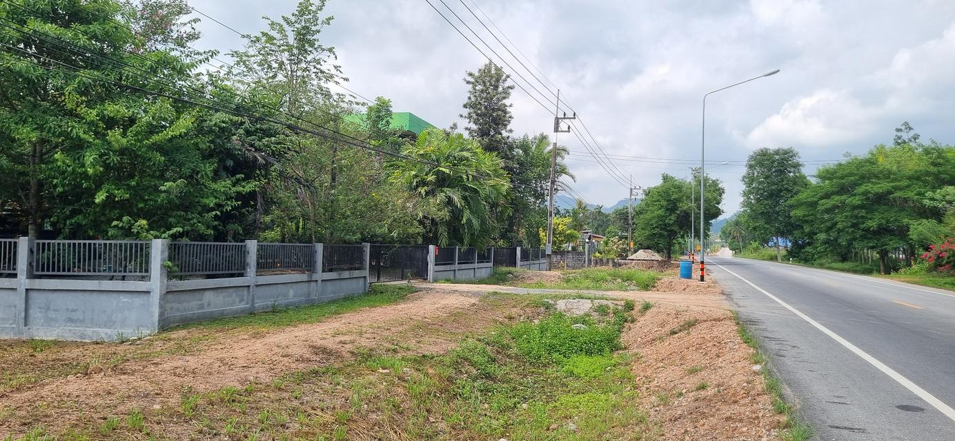 ต้องการขายบ้านที่ระยอง พิกัดบ้านเขาวังม่านสูงจากระดับน้ำทะเลปานกลาง 55 เมตร 2