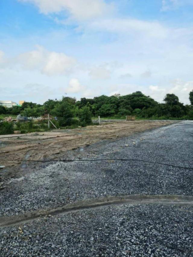 ให้เช่า ที่ดินผังม่วง​ลายติดถนนเส้นหลักในนิคมเอเชีย​ 5 ไร่​ 2​ งาน​ 66​ ตารางวา​ ปรับหน้าดินเรียบร้อยแล้วมีเสาไฟ 2 ต้น 6