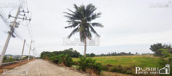 ซื้อทำกำไรได้มากกว่า 100 % ++ กับที่ทรงสวย 14 ไร่เศษ หน้ากว้าง 97 ม. ใกล้ ถ. ตัดใหม่ กัลปพฤกษ์ – พุทธสาคร KK5104S 5