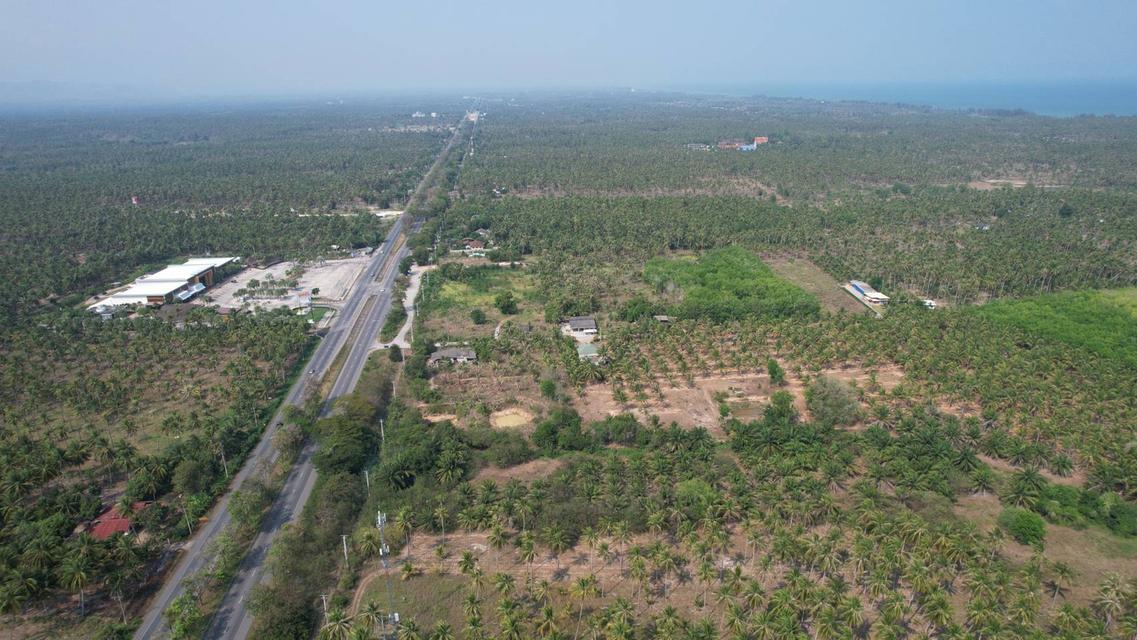 ขายที่ดินทับสะแกแลนด์ 5-3-96 ไร่ ติดถนนสายเอเชีย ทำเลทอง ราคาสำหรับนักลงทุน เพชรเกษมขาล่องใต้ ประจวบคีรีขันธ์ 2