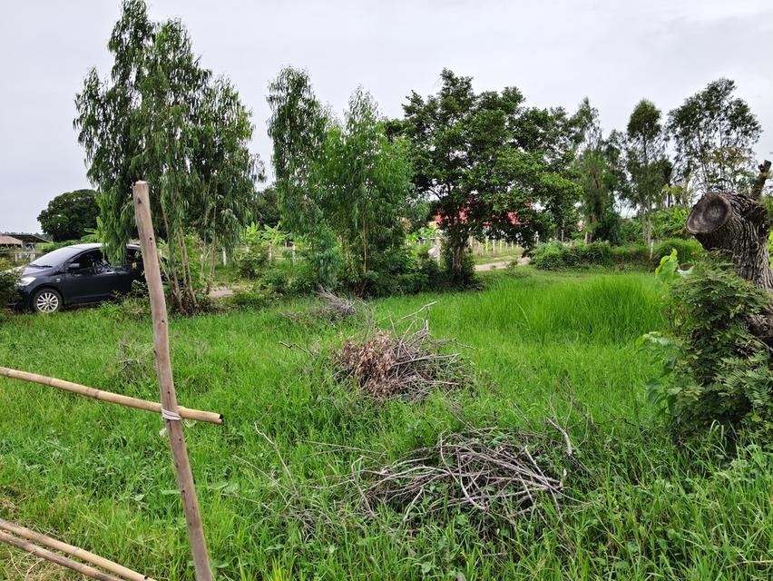 ที่ดินว่างเปล่า 70 ตรว. 6