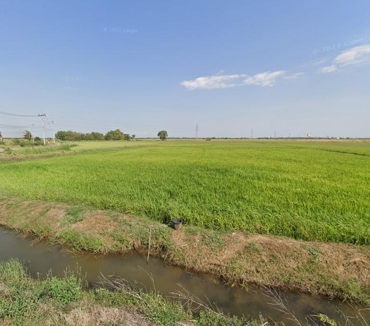 ขายที่ดินบางขวัญแปดริ้ว 22 ไร่ ซอยบางขวัญ18/1 ใกล้ถนนวงแหวนเลี่ยงเมือง365-2กม. เมืองฉะเชิงเทรา 10
