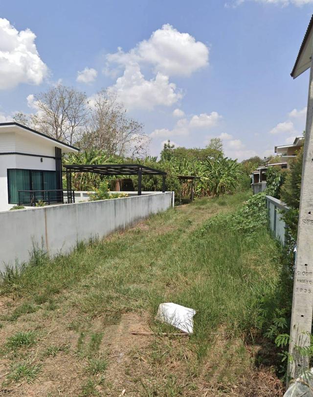 ขายที่ดินตำบลมิตรภาพอำเภอสีคิ้วจังหวัดนครราชสีมา  พื้นที่​  354.9ตรว. 2