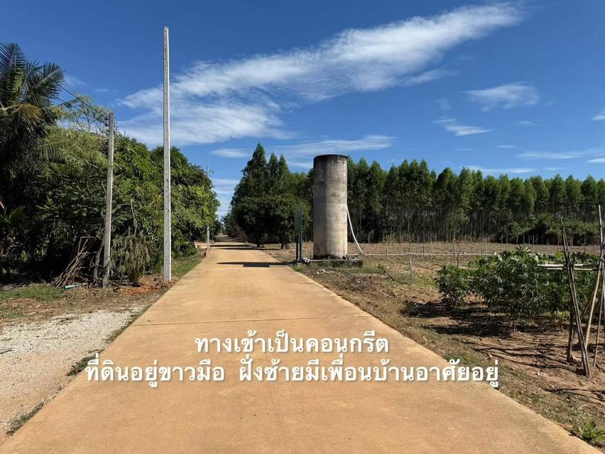 ขายที่ดิน เนื้อที่ 4ไร่ 2งาน 11วา หนองปรือ พนัสนิคม ชลบุรี 🏔️⛰️ สนใจติดต่อได้นะคะ 0958459574 โอ๊ต 12