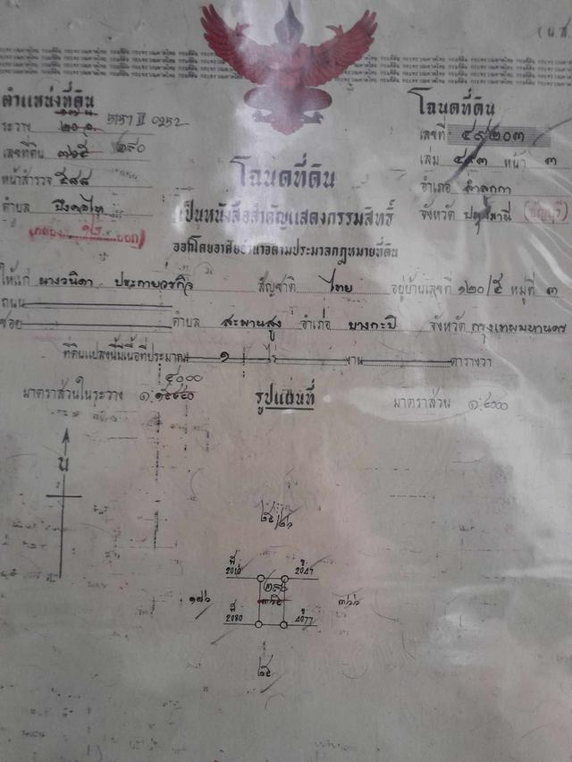 ที่ดิน จ.ปทุมธานี ธัญบุรี คลอง12