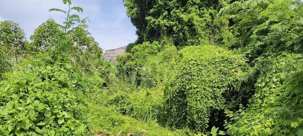 ให้เช่า ที่ดินเปล่า 60 ตร.วา ซอย บางปลา 14 บางพลี สมุทรปราการ 8
