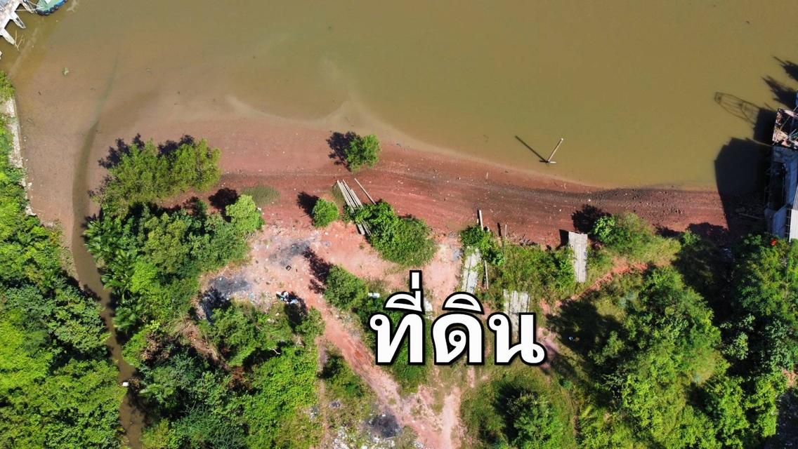 ขายที่ดินติดแม่น้ำตาปีในเมืองสุราษฎร์ธานี 8