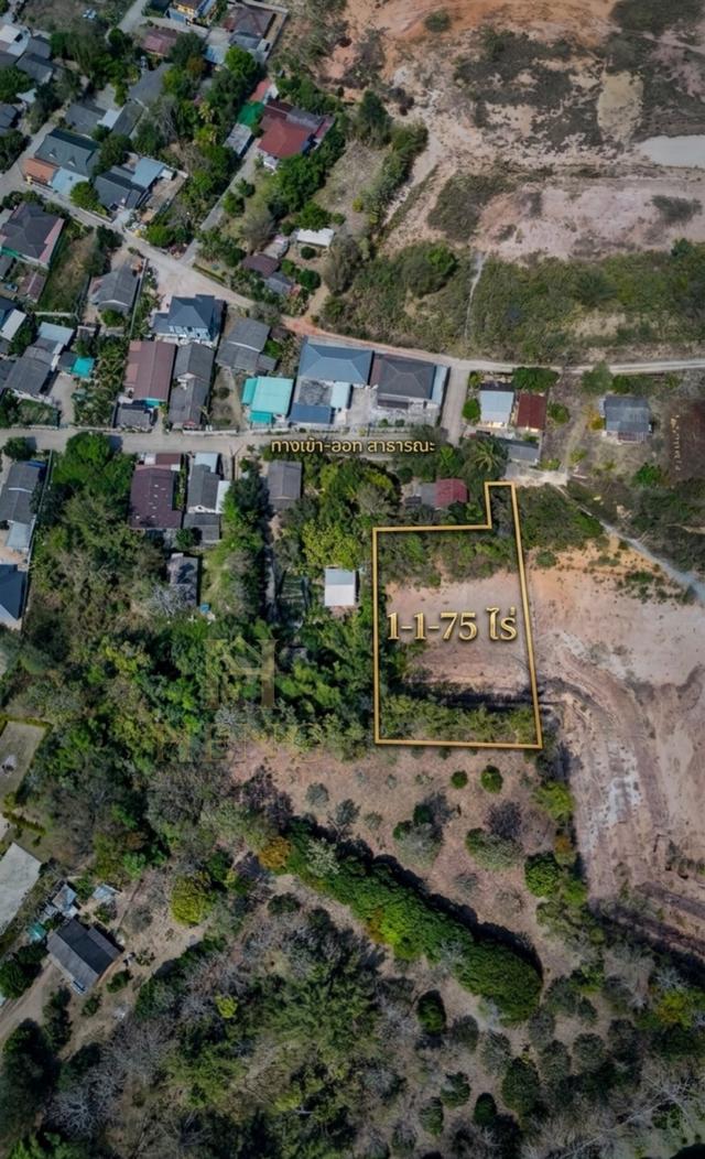 ขายที่ดินเนินเขา 1 ไร่กว่า ใกล้สิงห์ปาร์ค-วัดร่องขุ่น ทำเลแยกหัวฝาย เชียงราย น้ำไม่ท่วม! 9