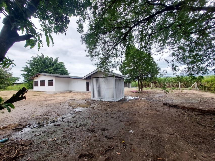 บ้านพร้อมที่ดินแปลงสวย 625ตรว.ต.วังขนาย อ.ท่าม่วง จ.กาญจนบุรี ห่างตลาดท่าม่วงเพียง10นาที 9