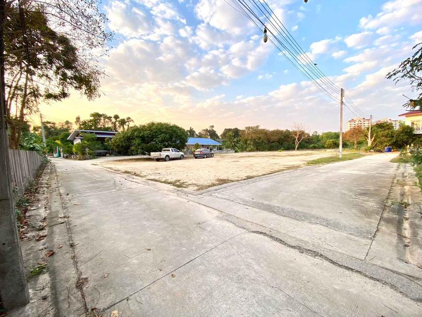 ขายที่ดินเนินพระทำเลดี 3 ไร่ ซ.ตรอกร่วมเจริญ ติดถนนคอนกรีต2ด้าน ใกล้หาดแสงจันทร์1.7กม. อ.เมืองระยอง 1