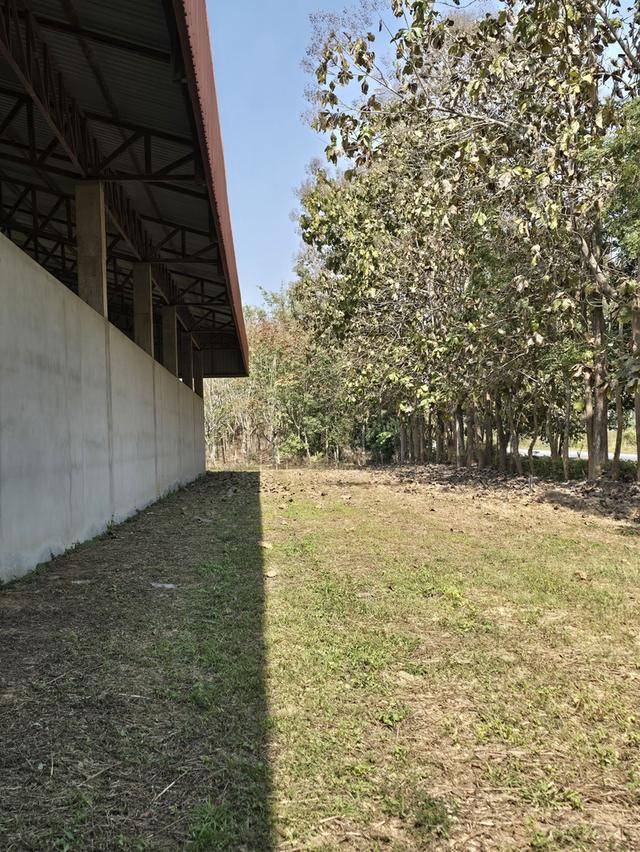 ขาย/ให้เช่าที่ดินเชียงราย 3