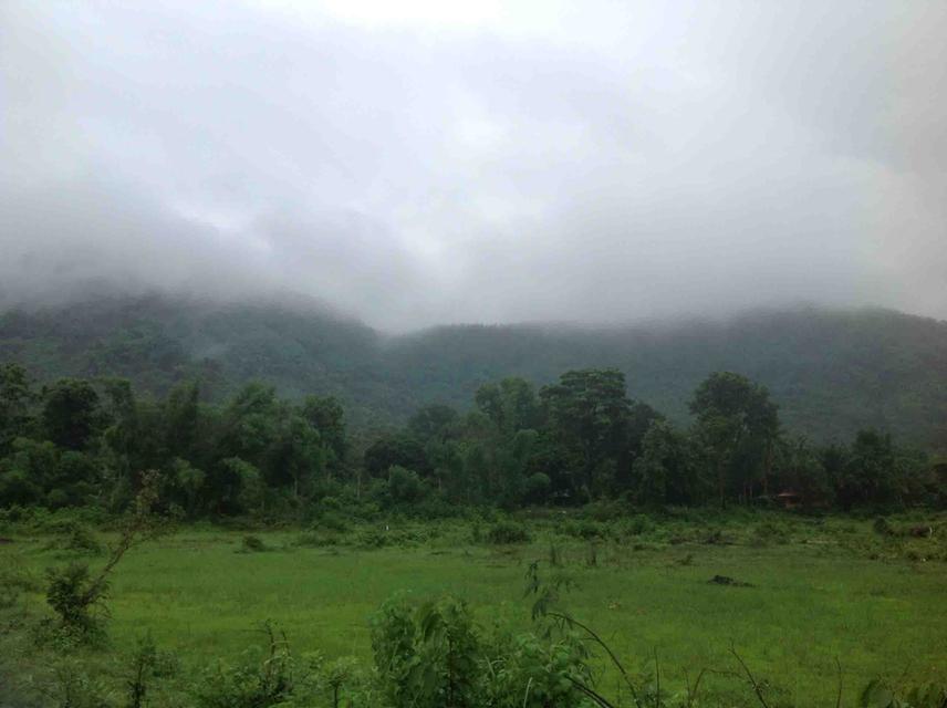 ด่วน!! ที่ดินทำเลสวย วิวภูเขาระยะใกล้ แปลงเล็ก อ.เมือง จ.นครนายก 3