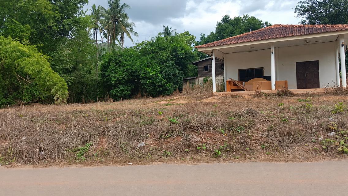 ขายที่ดินพร้อมบ้าน หมู่บ้านทองหลาง ตำบล คอกควาย อำเภอ บ้านไร่ จังหวัด อุทัยธานี 1