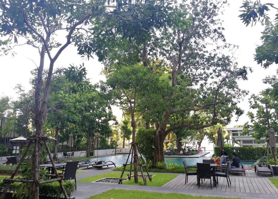For rent Zire Wongamat Condo 52,000/month 19