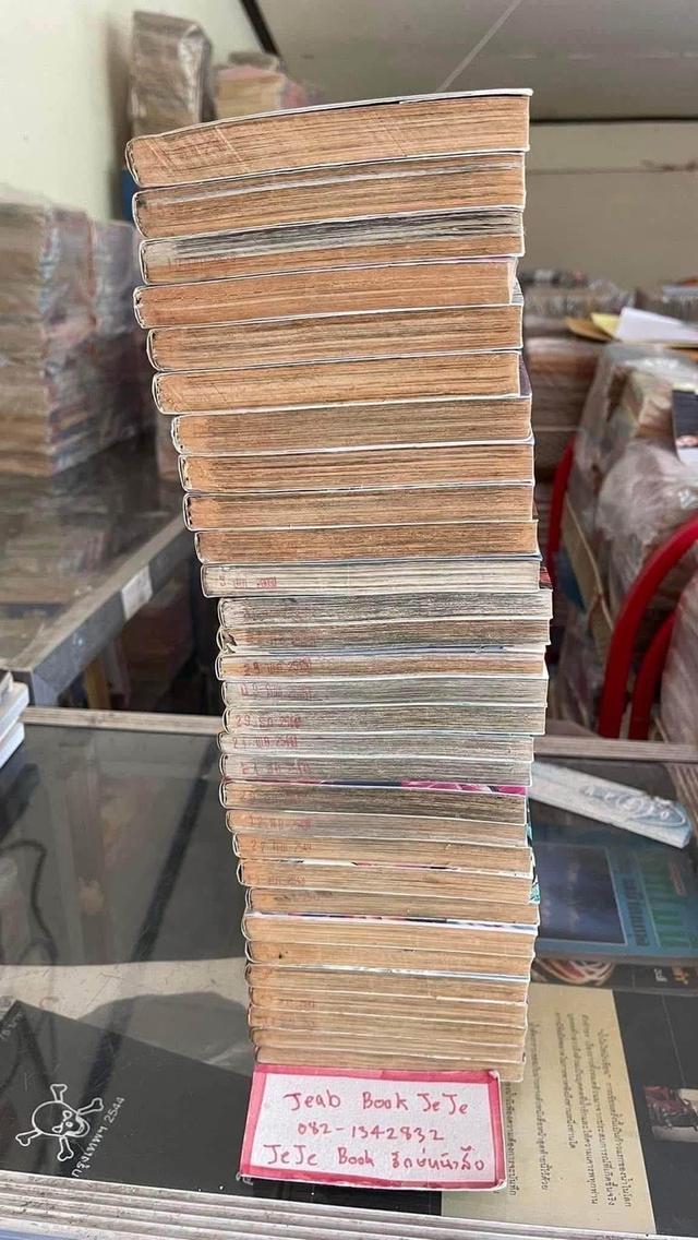 หนังสือการ์ตูน น้องหนูพันธุ์ดุ 1-30 จบ รูปที่ 8