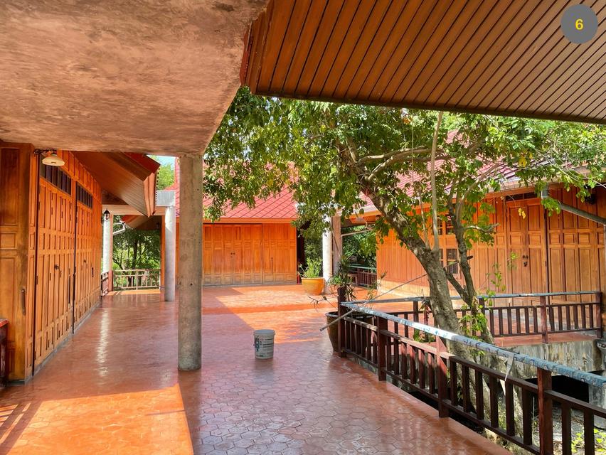 ที่ดินพร้อมสิ่งปลูกสร้าง 5