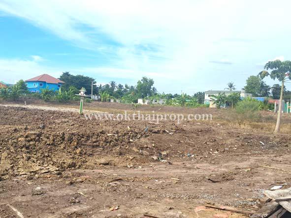 บ้านพร้อมที่ดิน ต.บางแม่นาง อ.บางใหญ่ จ.นนทบุรี 4