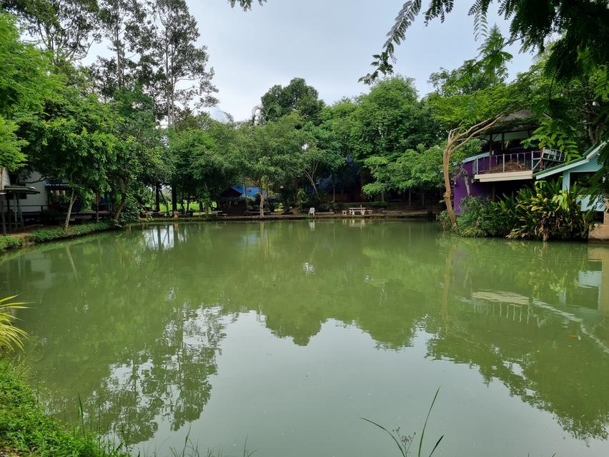 บ้านสวน ทำเลทอง ติดลำคลองธรรมชาติ ใกล้หาดบ้านอำเภอ บางเสร่ จอมเทียน