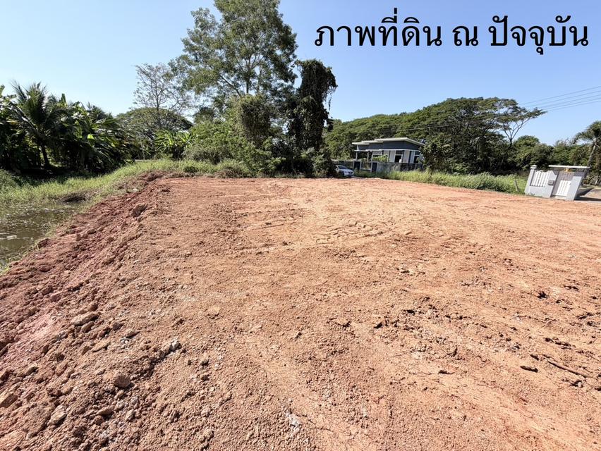 ที่ดินว่างเปล่า เจ้าของขายเอง 8