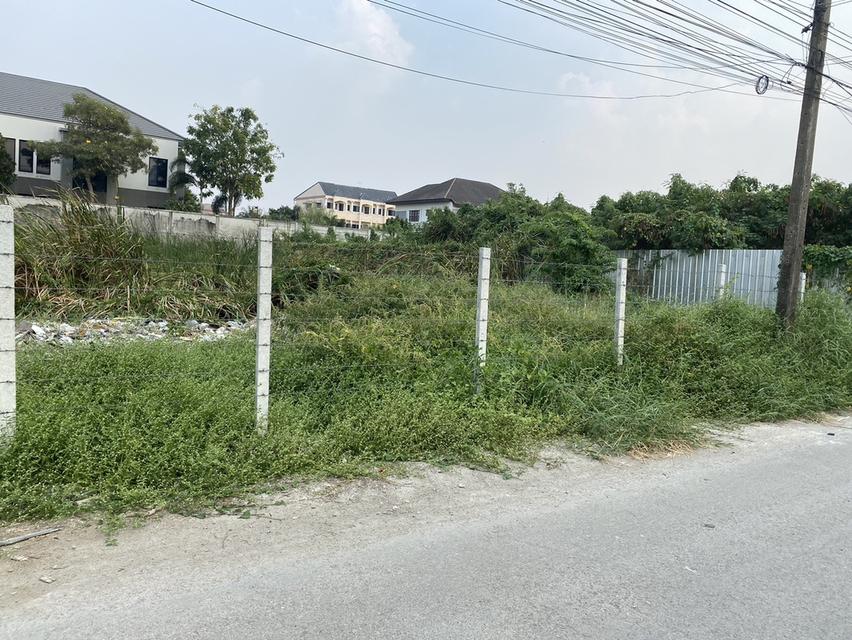 ขายที่ดิน 1 ไร่ ถนนนวมินทร์ ใกล้ทางด่วนเอกมัยรามอินทรา 098 7755 808 10