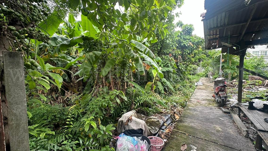 ที่ดิน 80.6 ตร.ว. ซอยจรัญสนิทวงศ์ 3 (ซอยสมชาย) ที่ริมคลอง ราคาถูกมาก 11