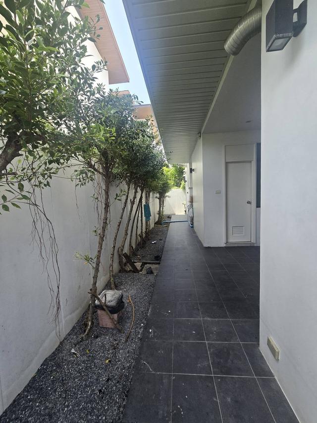 U1464 ให้เช่าบ้านเดี่ยว 3 ชั้น โครงการ The AVA Residence Sukhumvit สุขุมวิท 77 บ้านทำเลดีใกล้รถไฟฟ้า mrtศรีนุช เดินทางสะดวก 4