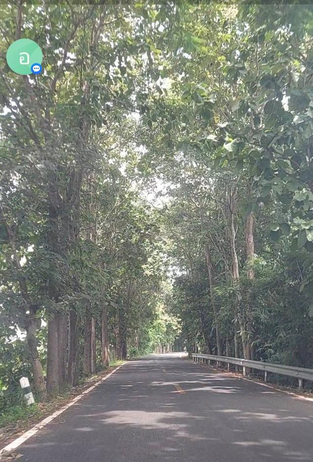 ที่ดินสวนลำไย ใกล้เมืองเชียงใหม่ เพียง 20 กม. (ราคา 1.7 ล้านบาท/ไร่) รายละเอียดที่ดิน: ที่ดินขนาด 1 ไร่ เป็นสวนลำไยที่ดูแลอย่างดี บรรยากาศเงียบสงบ 3