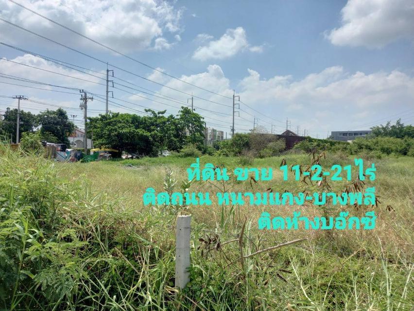 ขายที่ดิน ถมแล้ว ติดถนนหนามแดง - บางพลี 4