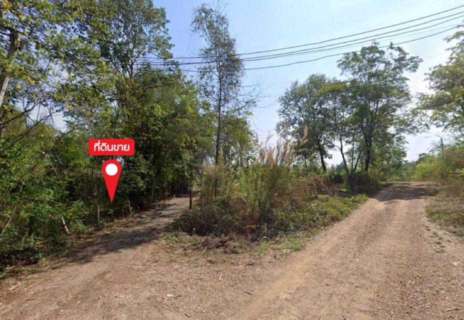 ขายที่ดิน 115 ไร่ บ.สหกรณ์ทุ่งใหม่ ซ.2 ใกล้สถานีไฟฟ้าแรงสูงเชียงใหม่ 3