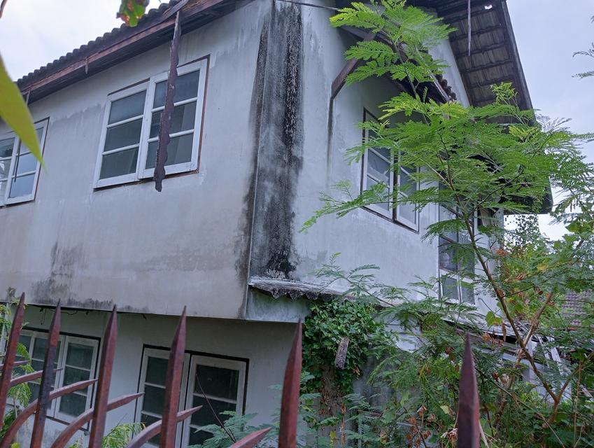 บ้านพร้อมสิ่งปลูกสร้าง 3