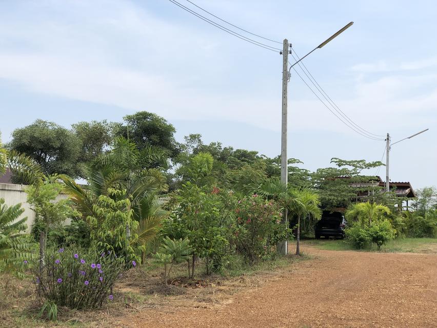 ขายที่ดิน 4 ไร่ พร้อมบ้านสวน ติดทางหลวง (ทล.1272 เมืองเก่า-คีรีมาศ) ใกล้อุทยานประวัติศาสตร์สุโขทัย  2