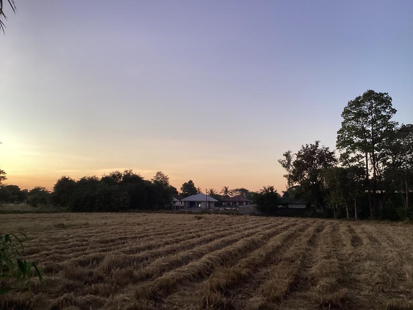 ขายที่ดินติดโครงการจัดสรรในเมืองนครพนม 7