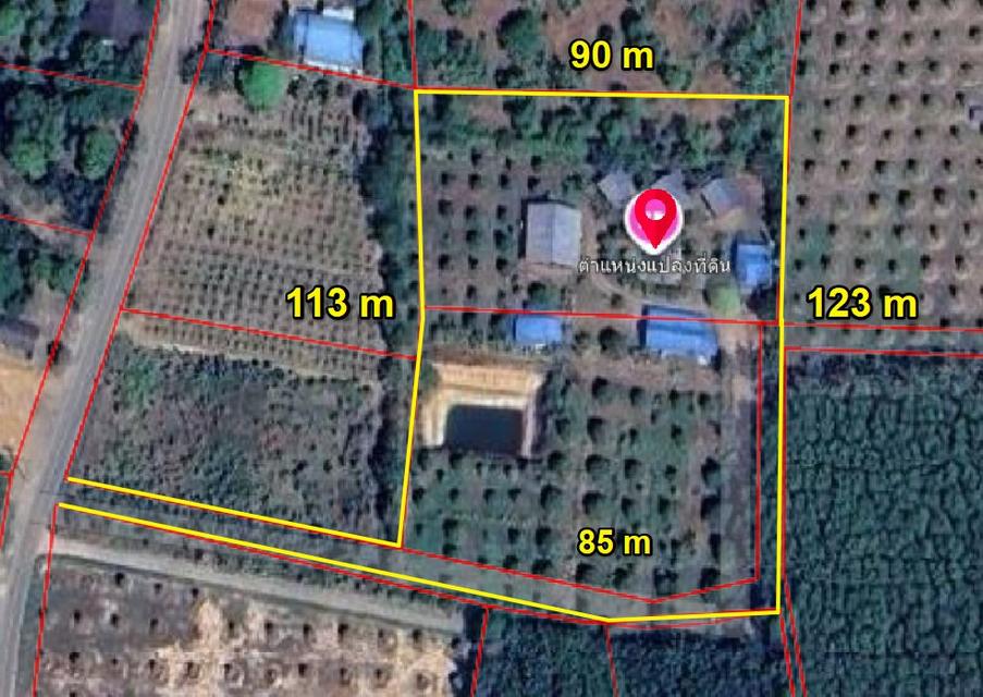 ขายที่ดินพร้อมรีสอร์ทและสวนทุเรียนต.ชากพงเนื้อที่ 6 ไร่ ใกล้ถนนสุขุมวิท3-2กม. อ.แกลง ระยอง 1