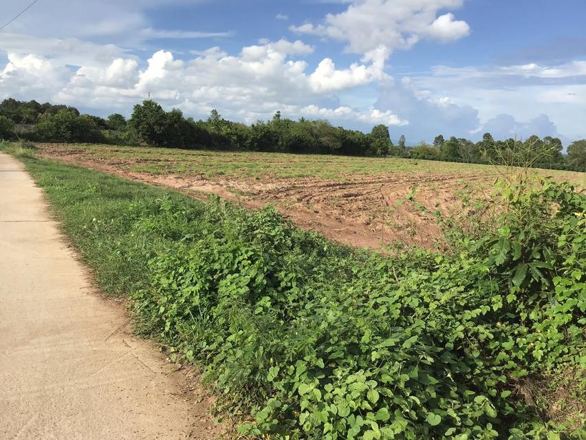 ที่ดิน 5 ไร่ 1 งาน โฉนด นส.4 จ 3