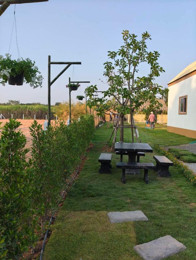 บ้านสวน สไตล์มินิมอล จ.ราชบุรี 3