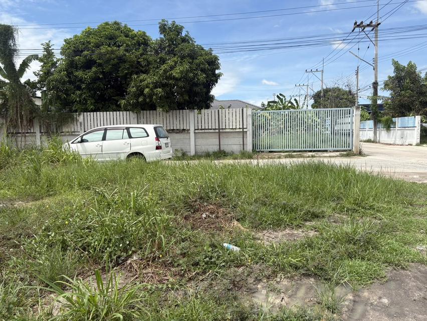 LAND FOR SALE | PHAN THONG, CHONBURI ที่ดินถมแล้วทั้งแปลง 10 ไร่ 77 ตร.ว. | เจ้าของขายเองโดยตรง 12
