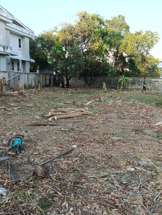 ขายที่ดินเปล่า | หมู่บ้านธารารมณ์ สุขาภิบาล 3 3