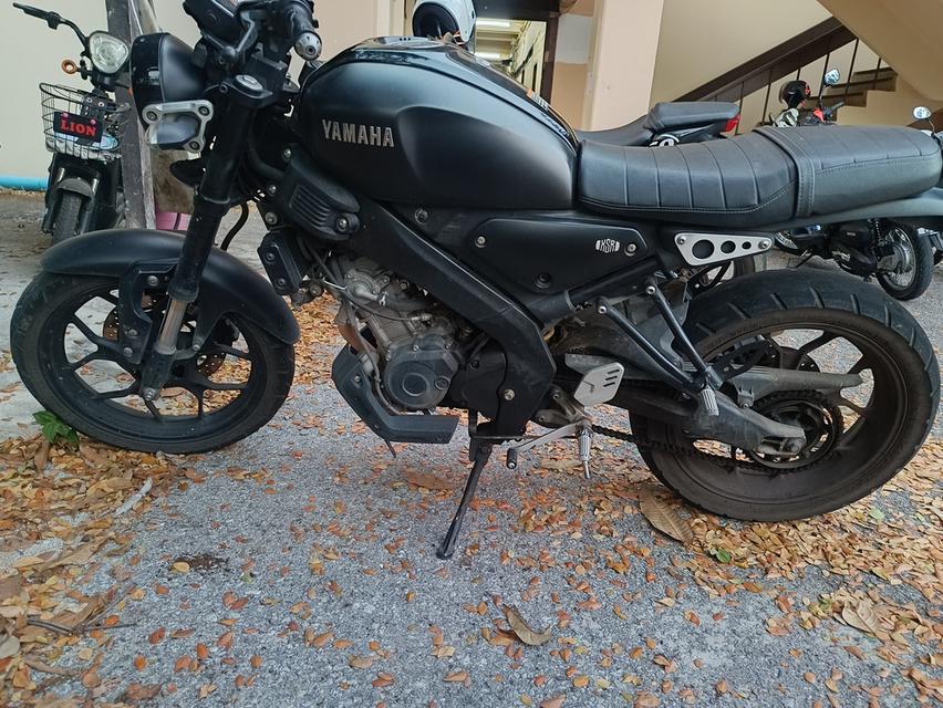 Yamaha XSR 155 1