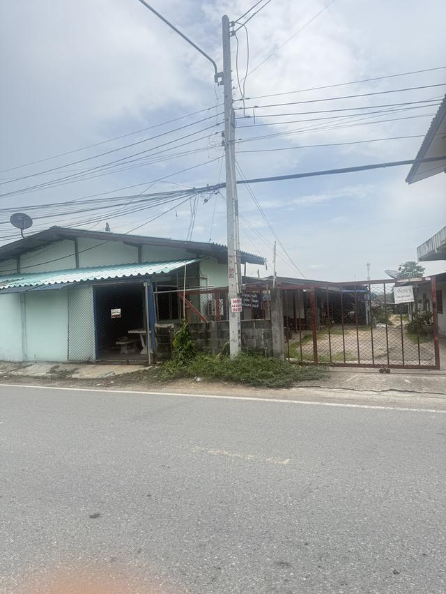 ขายที่ดินแหลมฉบัง ชลบุรี พร้อมสิ่งปลูกสร้างห้องเช่า  1 ง 71 ตรว 1