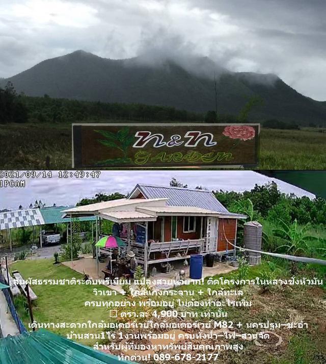 ขายด่วน! บ้านสวนบนเนิน วิวเขาพาโนรามา ติดโครงการชั่งหัวมัน (โฉนดครุฑแดง) 11