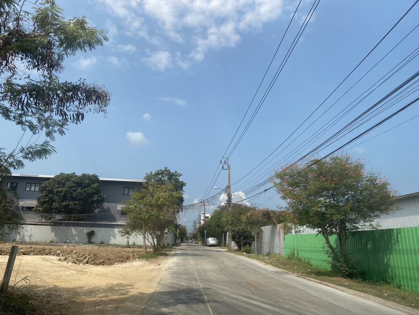 โกดังให้เช่าหนองแขม ถนนเพชรเกษมสาย3 ตกแต่งใหม่ รั้วรอบขอบชิด พื้นที่ใช้สอยทั้งหมด1408ตรม. เนื้อที่352ตรว. ซอยกว้าง รถใหญ่เข้าออกสะดวก 7