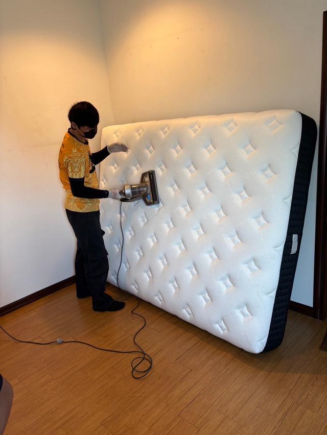 ขายที่นอน Dunlopillo รุ่น Frostburg Talasilver Latex Collection ขนาด 5 ฟุต รูปที่ 8