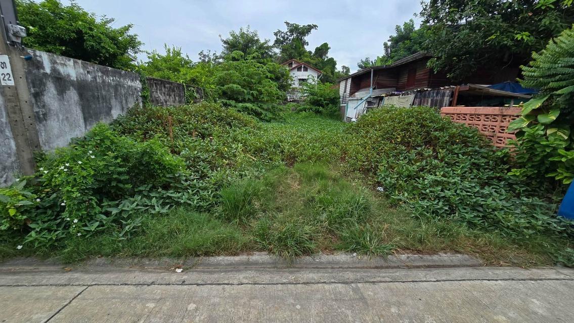 ขายด่วนที่ดิน 42 ตรว ติดถนนคอนกรีตสาธารณะ ถมแล้ว ซ.ศิริเกษม 13 ภาษีเจริญ กทม. 2