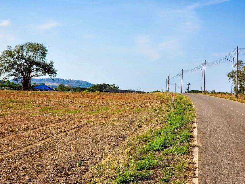 ขายที่ดินทำเลศักยภาพ ในอนาคตรถไฟฟ้าความเร็วสูงผ่าน และสนามบินนานาชาติอู่ตะเภา 7