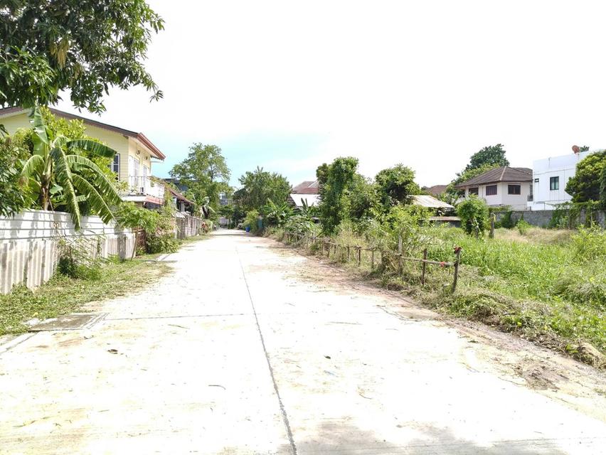 ขายที่ดินสุขุมวิท101 ปุณณวิถี39 ที่ดิน382ตร.ว ขาย 95,000/ตร.ว หน้ากว้างติดถนน 53ม. ใกล้รถไฟฟ้าBTSปุณณวิถี อุดมสุข เข้าออกได้ศรีนครินทร์ บางนา สุขุมวิท 1