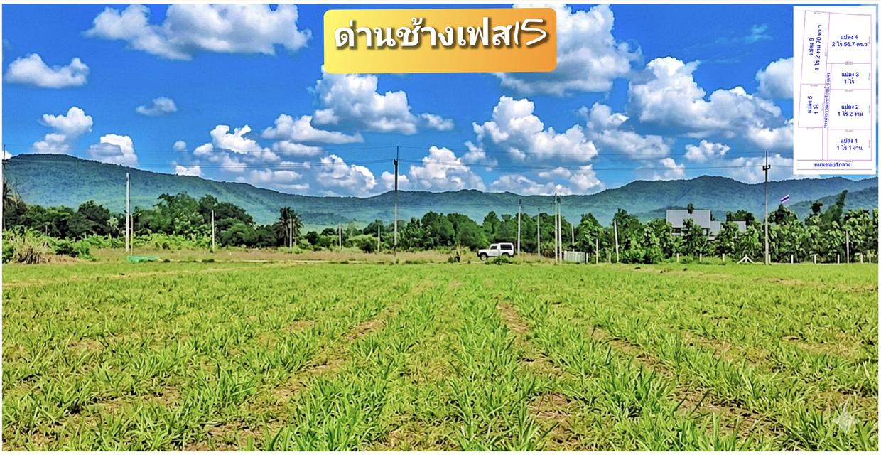 ด่านช้าง เฟส15 (สด-ผ่อน) 📢 ที่ดินโฉนดวิวเขาสุดสวย360° แบ่งแปลงละ1-2ไร่ ไร่ละ550,000 โทร 080-7866949 อั๋น LINE ID : PHISEK.MA 1