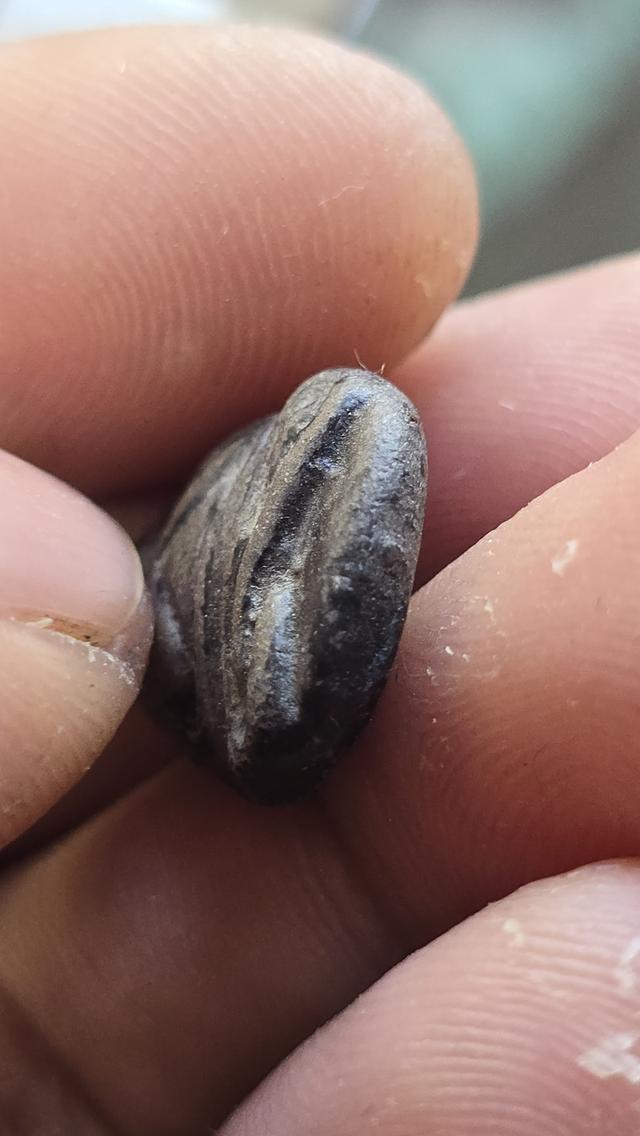 พระปิดตาหลวงพ่อเชย วัดบางกระสอบ 5