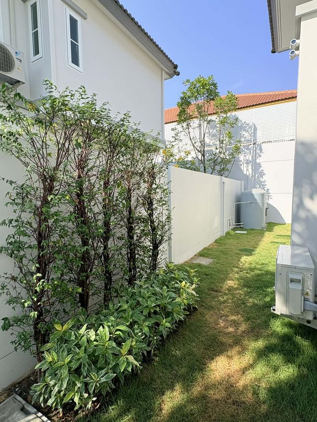 ให้เช่าบ้านเดี่ยว  บ้านใหม่  Villagio ศรีนครินทร์ -บางนา 3  ไม่เคยปล่อยเช่า 3