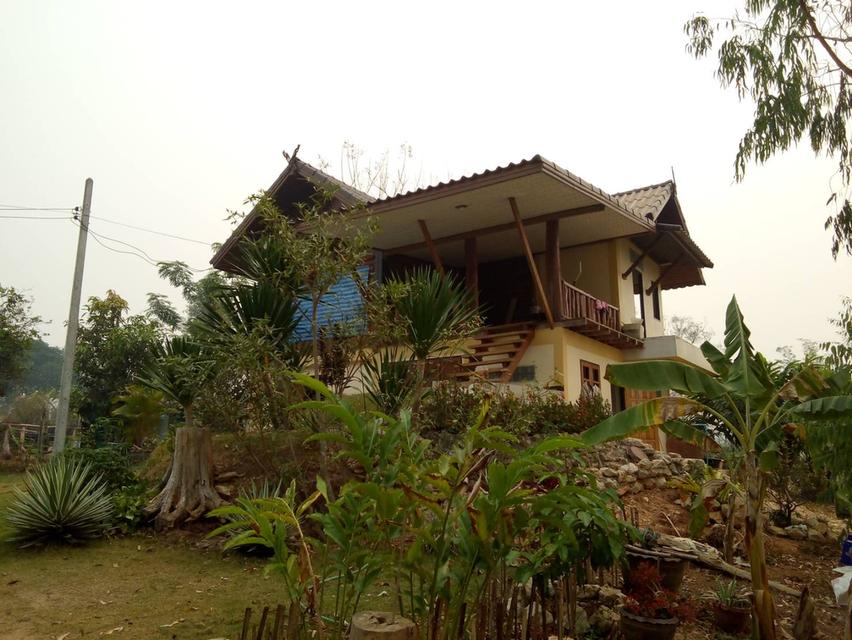 ที่ดินพร้อมบ้านพร้อมที่สวน 2