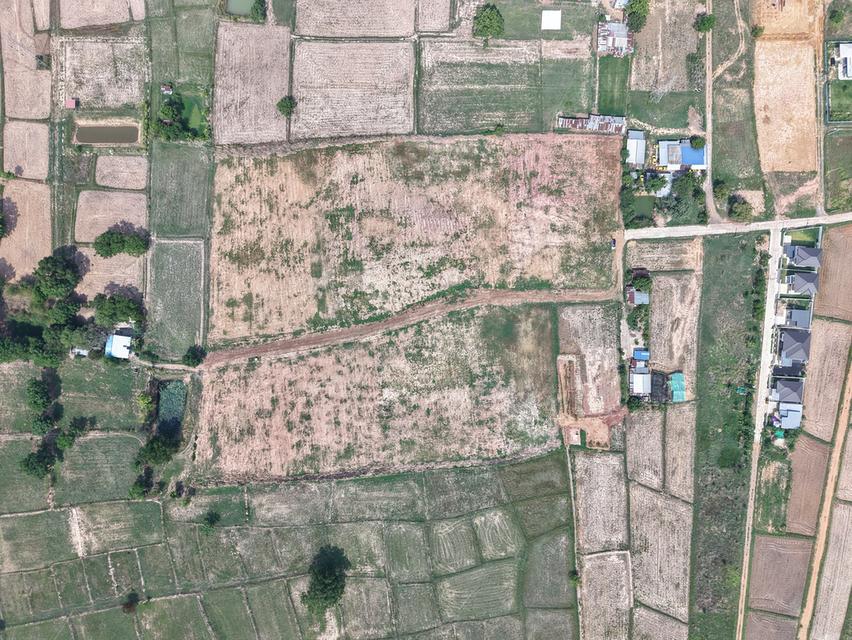 ที่ดิน โนนม่วง ขอนแก่น 18